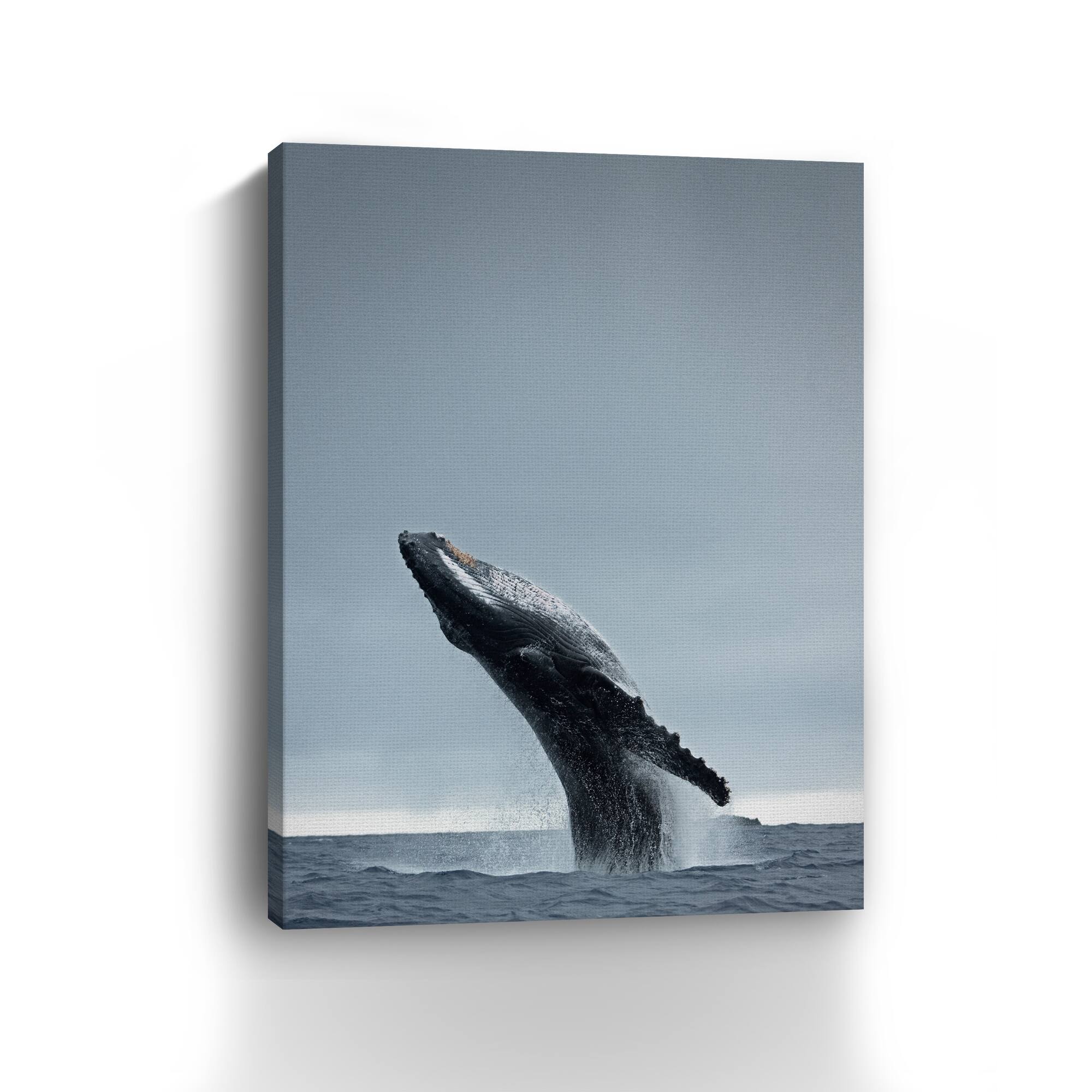 40 Ton Canvas Giclee